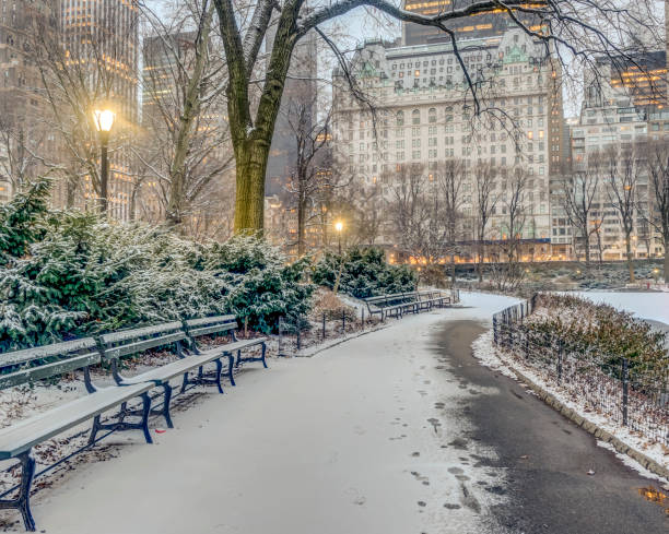 Central+Park%2C+Manhattan%2C+New+York+City+in+winter